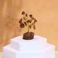 Mini Gemstone Tree On Wood Base - Tigereye (15 stones)